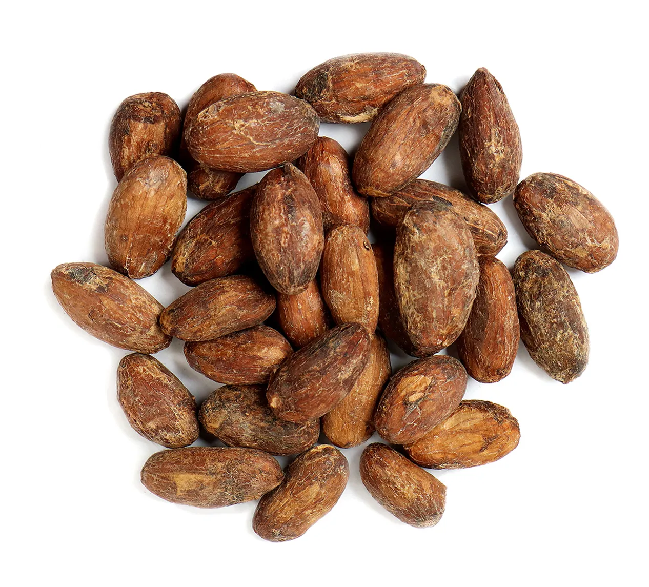 Cocoa Beans