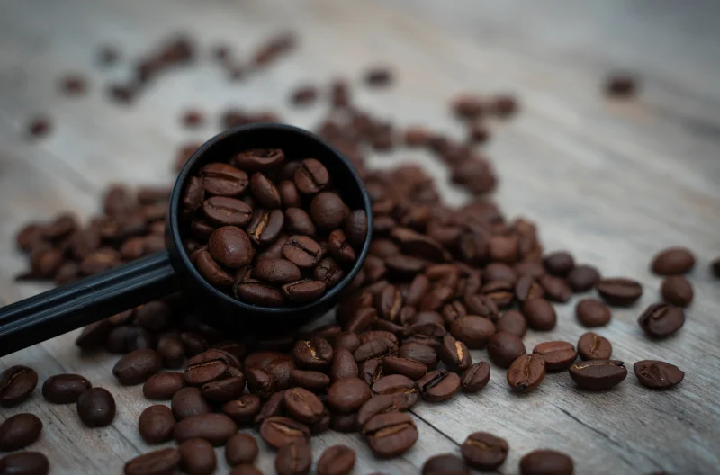 Arabica Coffee