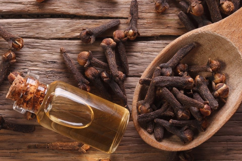 Clove Leaf Oil