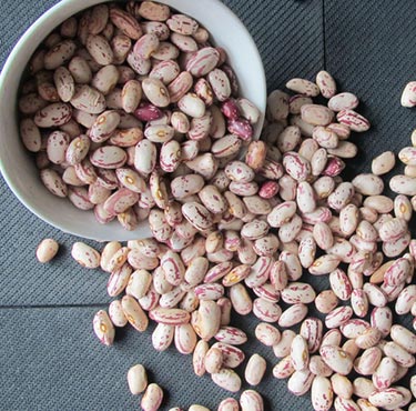 Speckled Kidney Beans