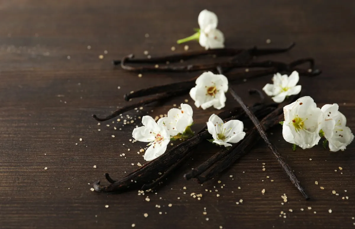 Vanilla