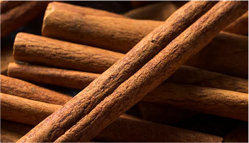 Cinnamon Stick