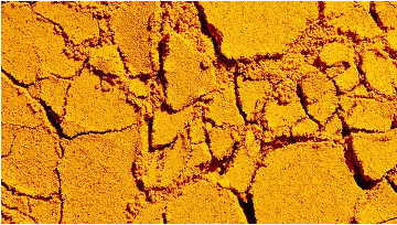 Turmeric Powder