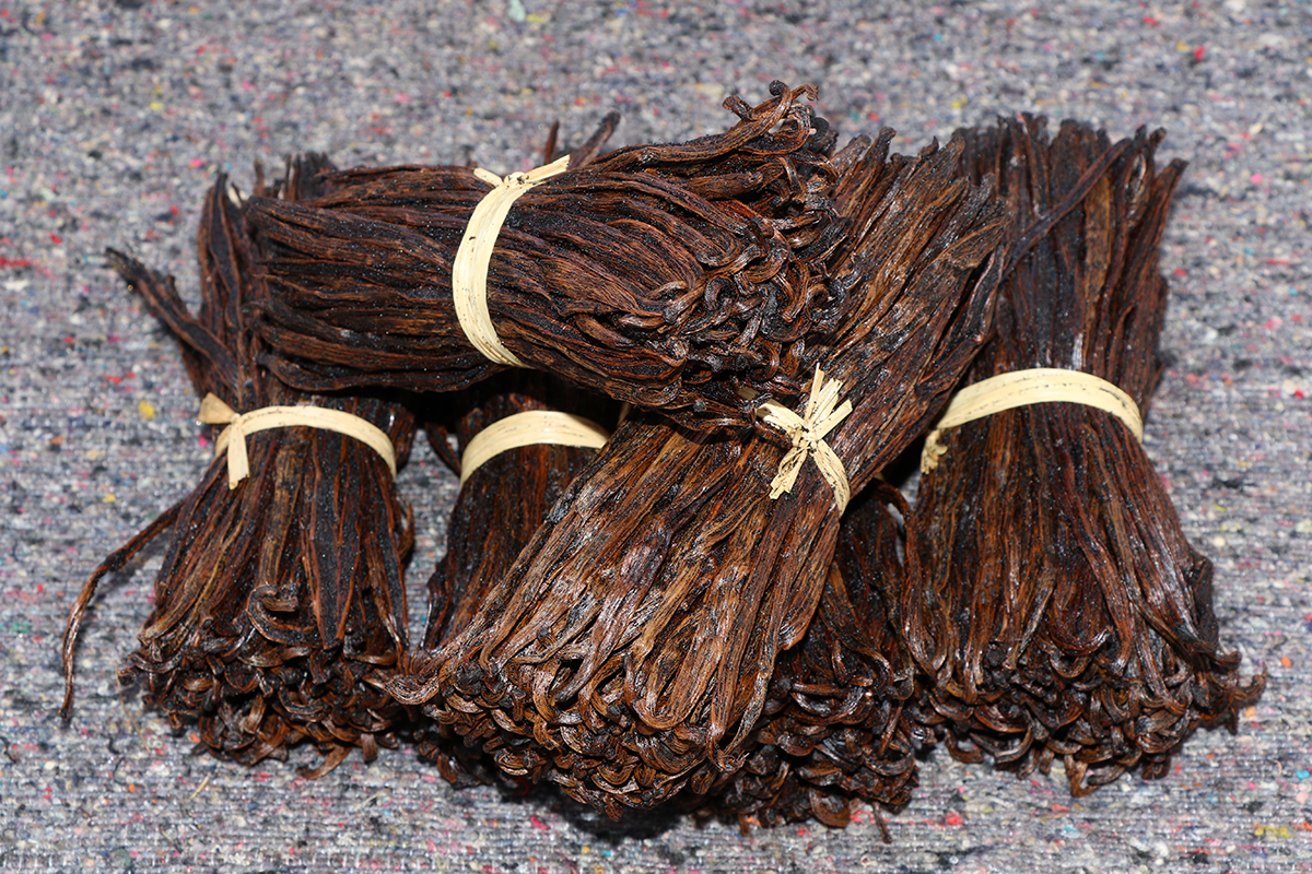 Red Vanilla / Extraction Grade Type USA